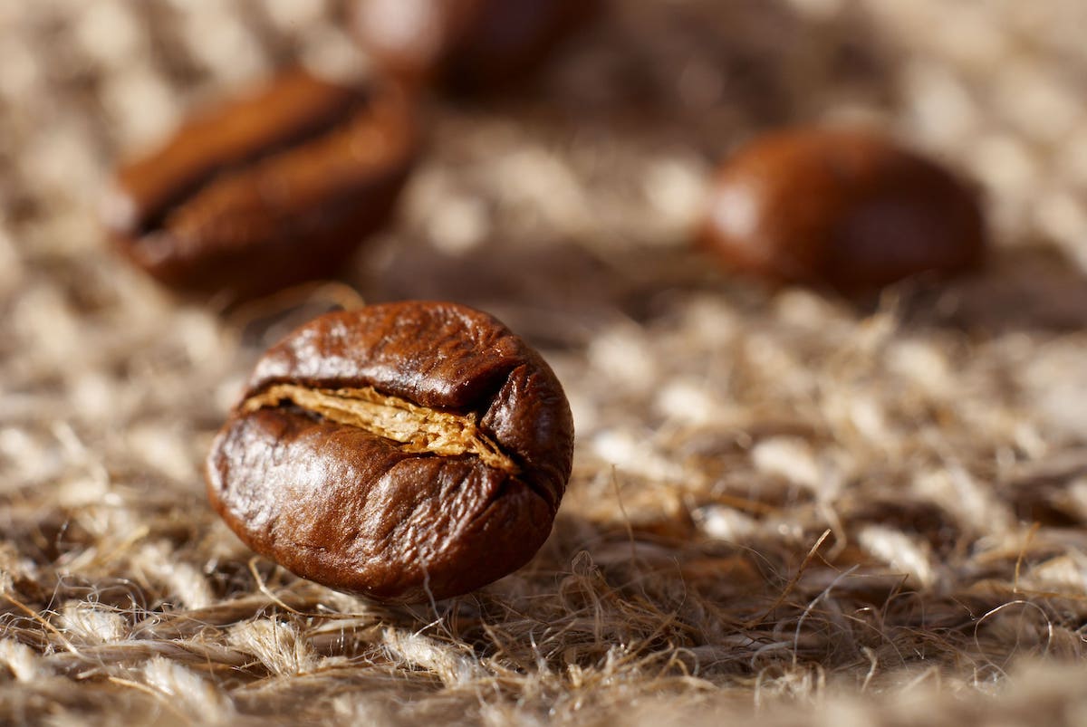 Granos de café arábica colombiano Elodia Coffee — grano entero tostado